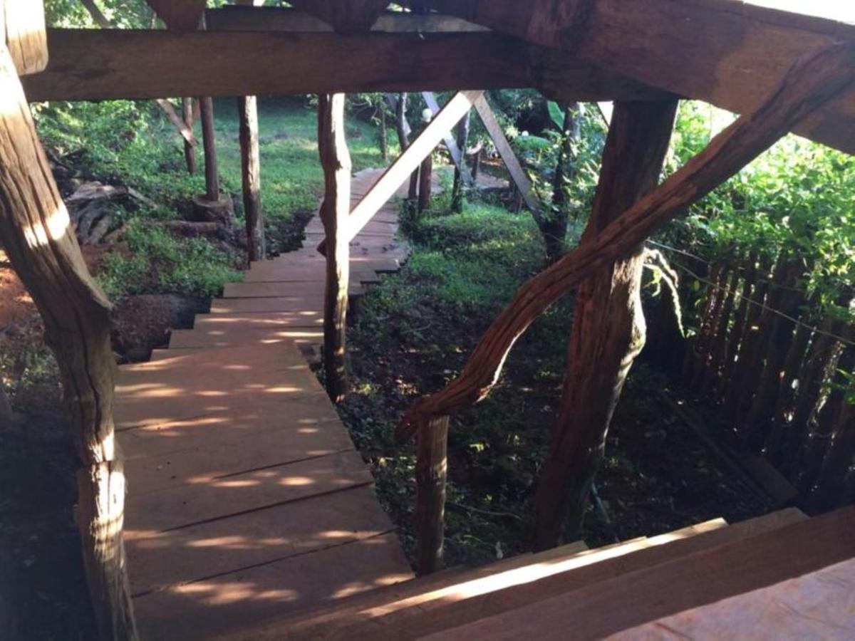 Tree Top Eco-Lodge Banlung Ngoại thất bức ảnh